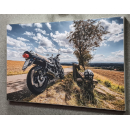 Schallabsorber mit Aluminium-Rahmen mit Bild 1400 x 700 x...