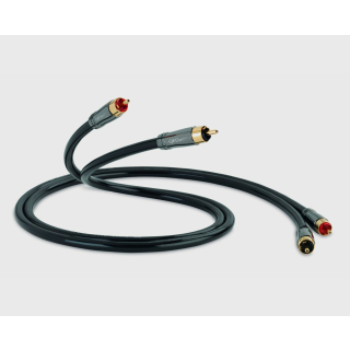 QED Chinch-Kabel PERFORMANCE AUDIO 40
