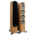 TAGA Platinum F-120 v3 Stand Lautsprecher Paar